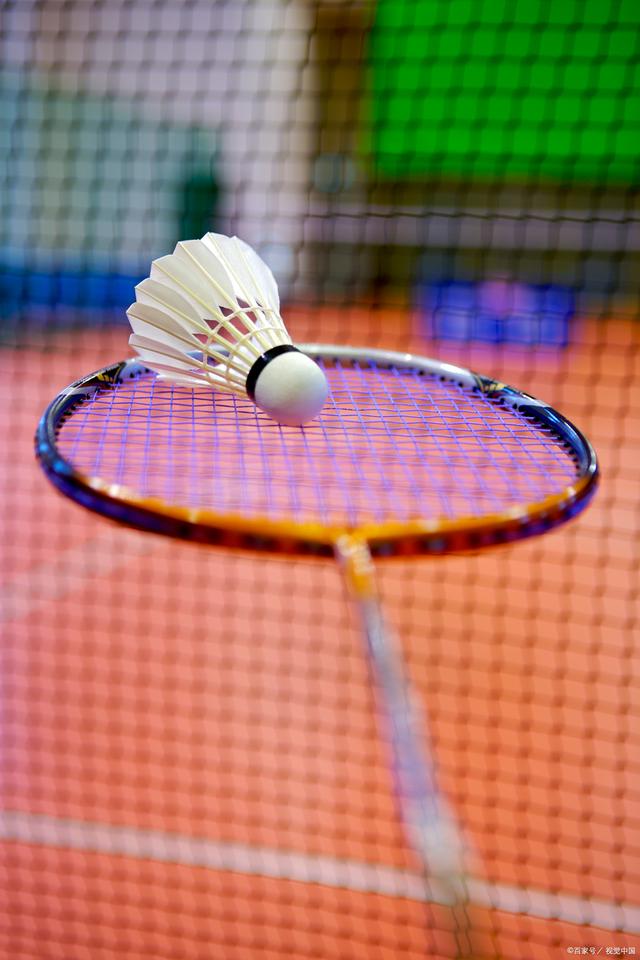 育版图中占 育版图中占