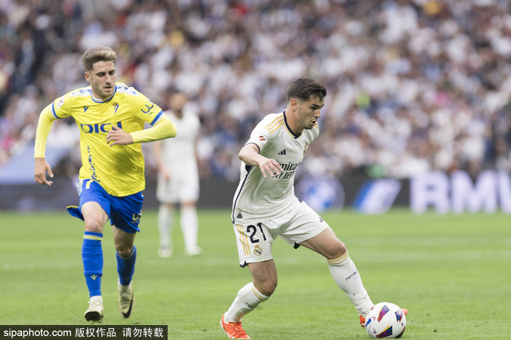 种积极进取 种积极进取