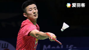 真正的答案 真正的答案